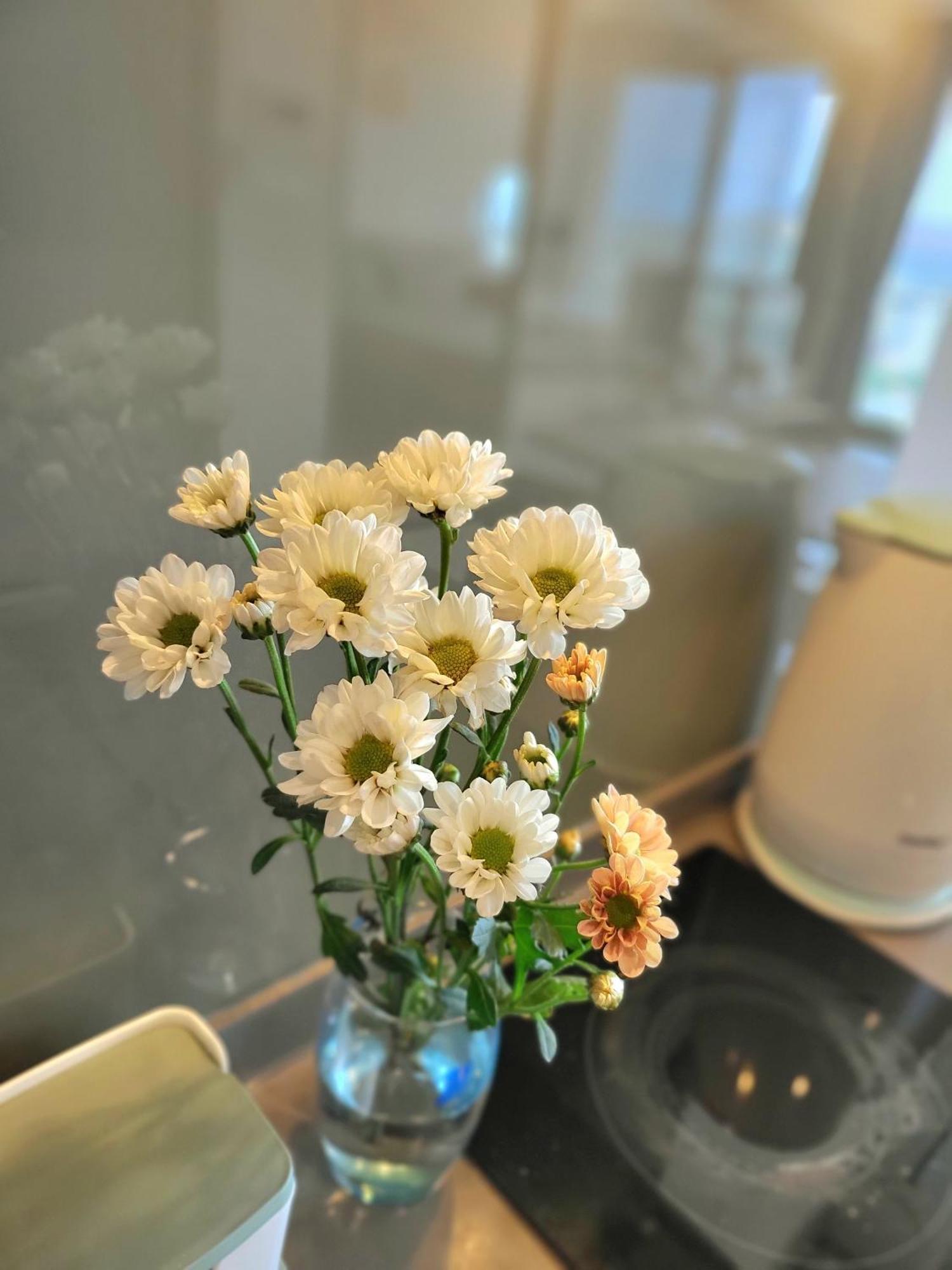 The Song Vung Tau Apartment Екстериор снимка